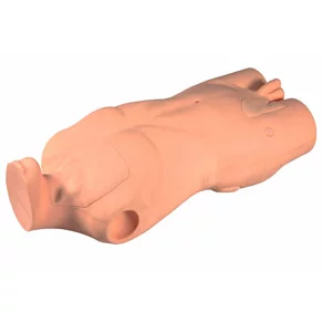 Central Line Simulator