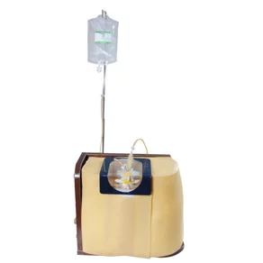 Lumbar Puncture Simulator