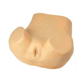 Vaginal Culdocentesis Simulator