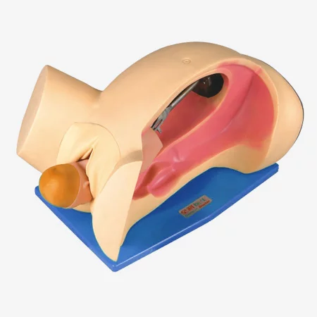 Delivery Mechanism Demonstration Simulator