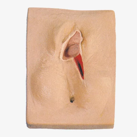 Vulva Suturing Training Simulator
