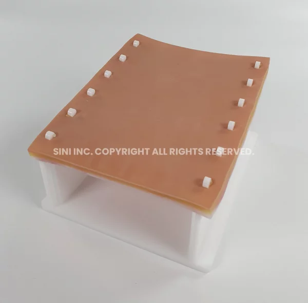 Abdominal Suture Trainer