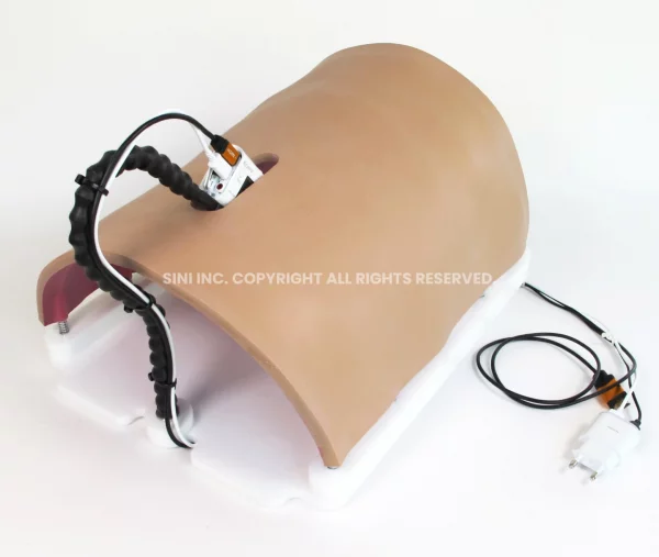 Laparoscopic Body Type Trainer