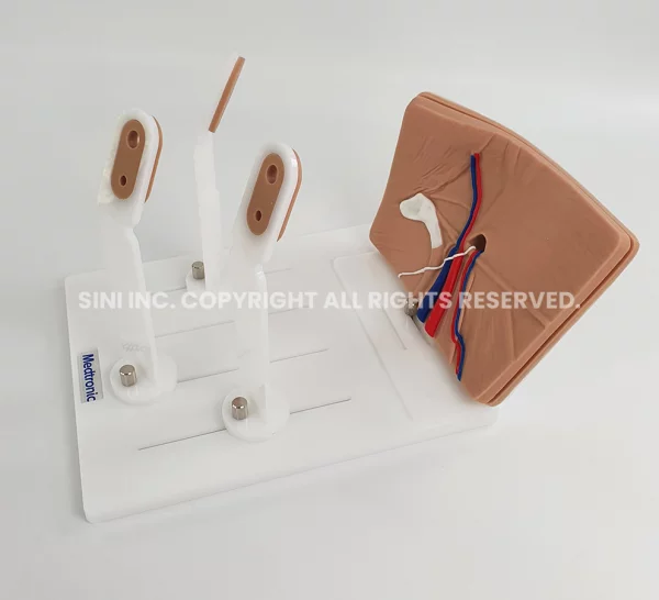 Laparoscopic Hernia Surgery Trainer