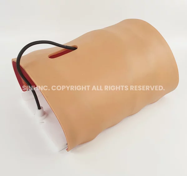 Laparoscopic Body Type Trainer Large