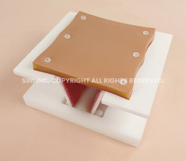 Laparoscopic Hernia Surgery Trainer