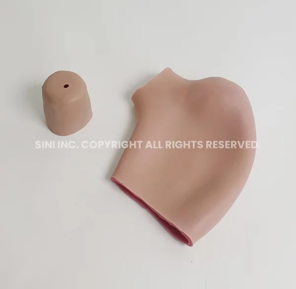 Stomach & Esophagus Anastomosis Trainer