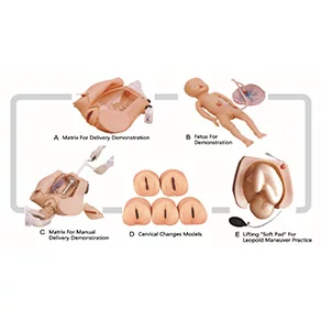 Advanced Childbirth Simulator