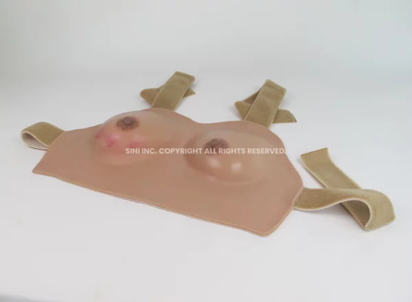 Breast Anatomy Lactation Model