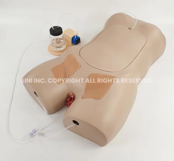 Femoral Puncter Trainer (Seoul National University)