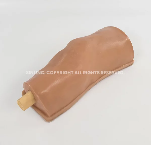 Knee Aspiration Trainer