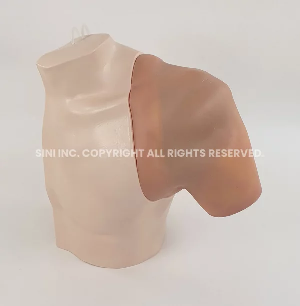 Shoulder Surgery Trainer (TMC)