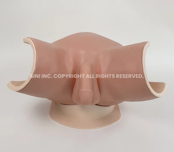 Catheterization Trainer A