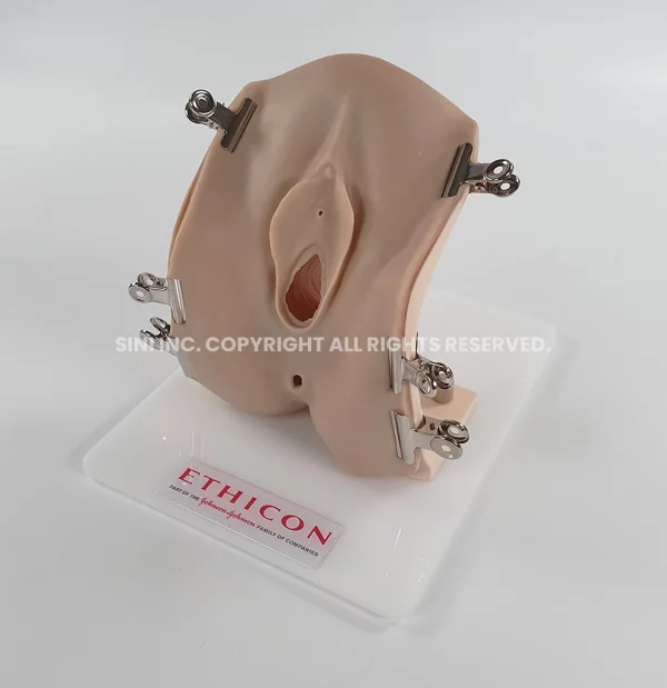Episiotomy Trainer