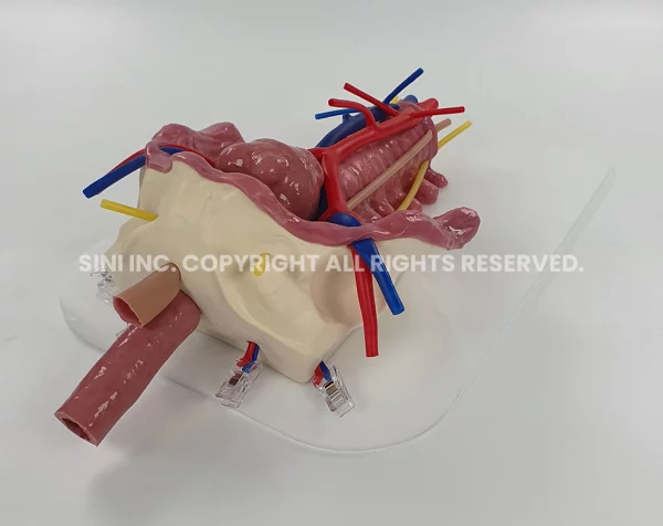 Uterine Myomectomy Trainer-Pelvic Plate (Intuitive)