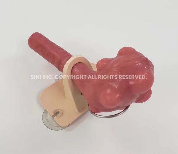 Uterine Myomectomy Trainer (Intuitive)