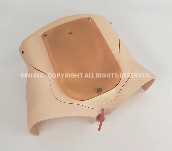 Prostatectomy Trainer (Intuitive e-RARP)