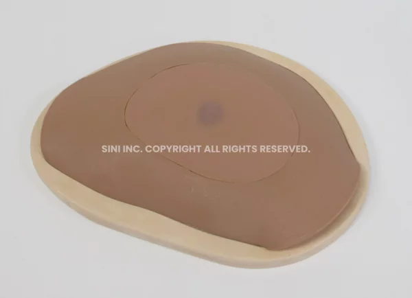 Abscess Drainage Trainer