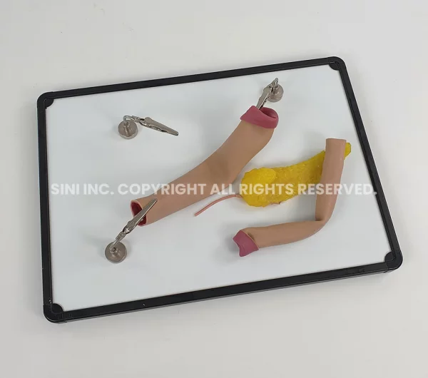 Magnets Board Skills Training Kit