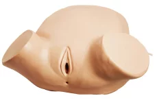 Leopold Maneuvers, Anal and Vaginal Examination Simulator