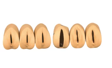 Prenatal Cervical Change Model