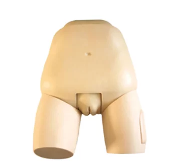 Advanced Fundus of Uterus Examination & Evaluation Simulator