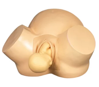 Vacuum Delivery Simulator