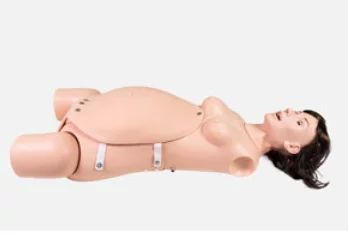 Advanced Ostetrics Surgery Training Manikin