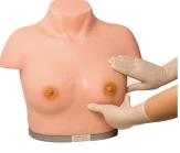 Advanced Inspection and Palpation of Breast Simulator