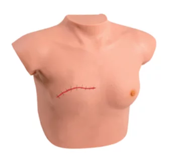 Model for Breast Examination and Postoperative Care of Mammectomy