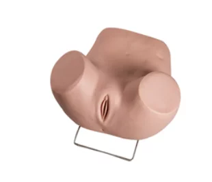 Advanced Gynecological Examination Simulator
